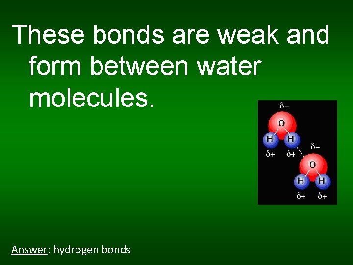 These bonds are weak and form between water molecules. Answer: hydrogen bonds 