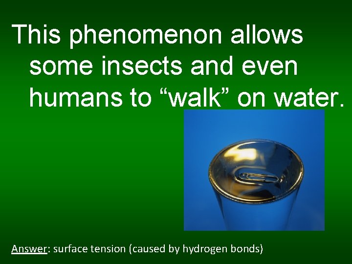 This phenomenon allows some insects and even humans to “walk” on water. Answer: surface