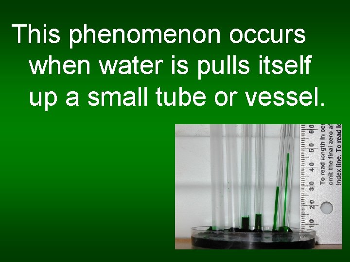 This phenomenon occurs when water is pulls itself up a small tube or vessel.