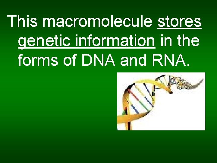 This macromolecule stores genetic information in the forms of DNA and RNA. 