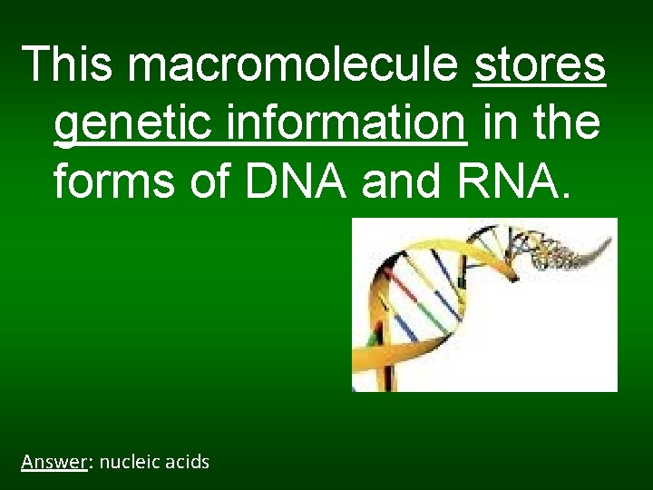 This macromolecule stores genetic information in the forms of DNA and RNA. Answer: nucleic