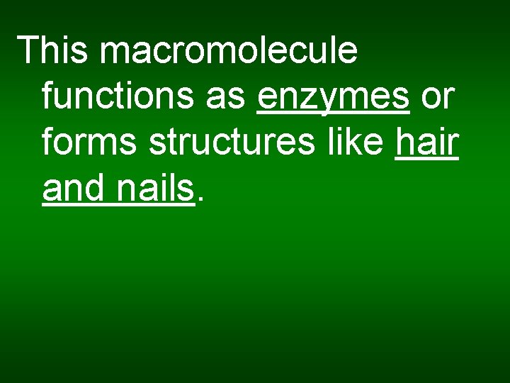 This macromolecule functions as enzymes or forms structures like hair and nails. 