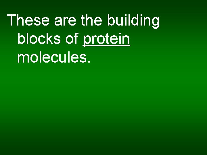 These are the building blocks of protein molecules. 