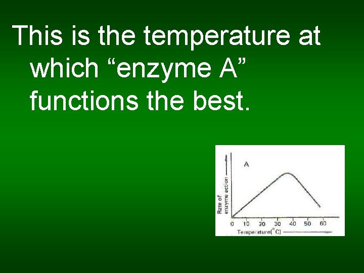 This is the temperature at which “enzyme A” functions the best. 
