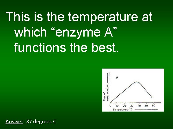 This is the temperature at which “enzyme A” functions the best. Answer: 37 degrees