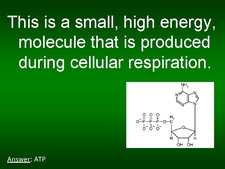 This is a small, high energy, molecule that is produced during cellular respiration. Answer: