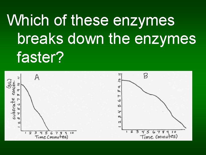 Which of these enzymes breaks down the enzymes faster? 