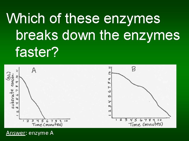 Which of these enzymes breaks down the enzymes faster? Answer: enzyme A 