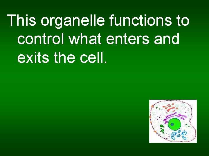 This organelle functions to control what enters and exits the cell. 
