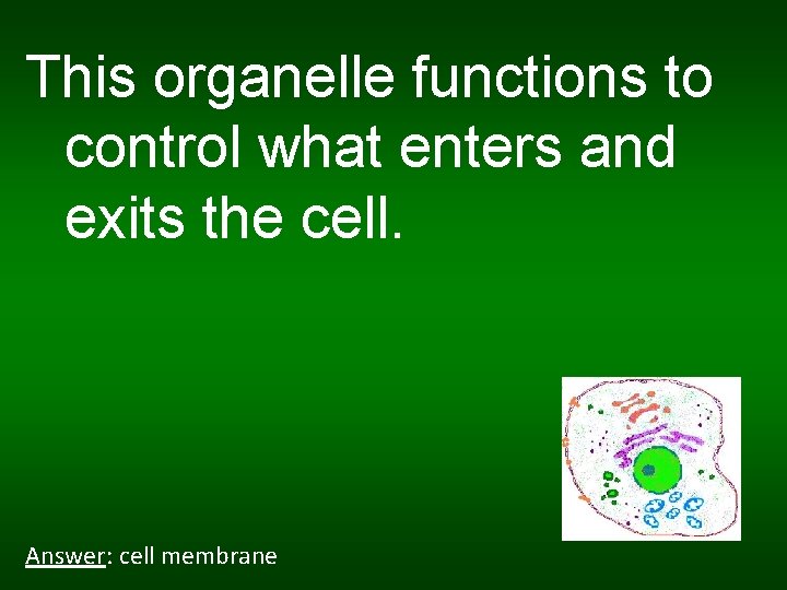 This organelle functions to control what enters and exits the cell. Answer: cell membrane
