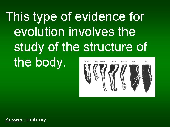 This type of evidence for evolution involves the study of the structure of the