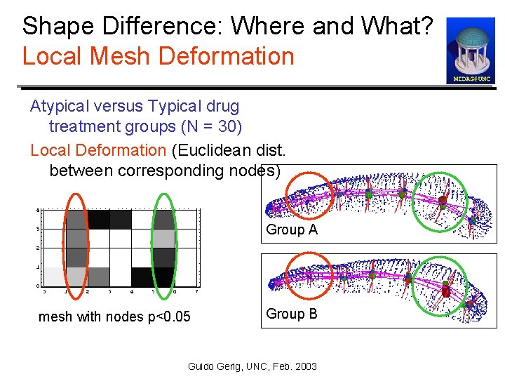 Shape Difference: Where and What? Local Mesh Deformation Atypical versus Typical drug treatment groups