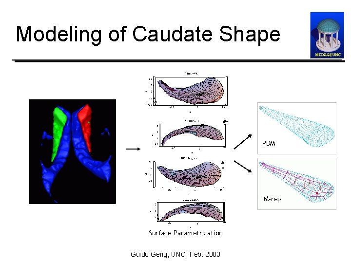 Modeling of Caudate Shape PDM M-rep Surface Parametrization Guido Gerig, UNC, Feb. 2003 