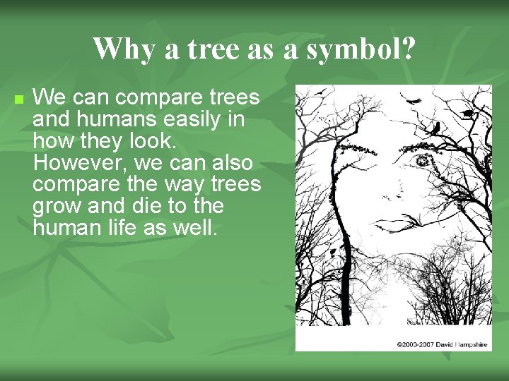 Why a tree as a symbol? n We can compare trees and humans easily