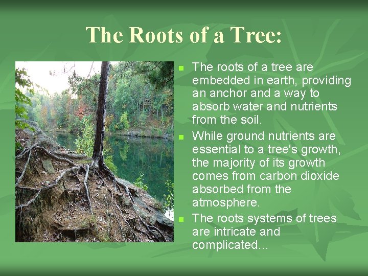 The Roots of a Tree: n n n The roots of a tree are