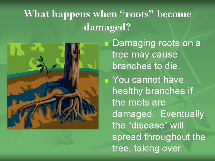 What happens when “roots” become damaged? n n Damaging roots on a tree may