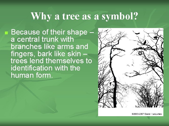 Why a tree as a symbol? n Because of their shape – a central