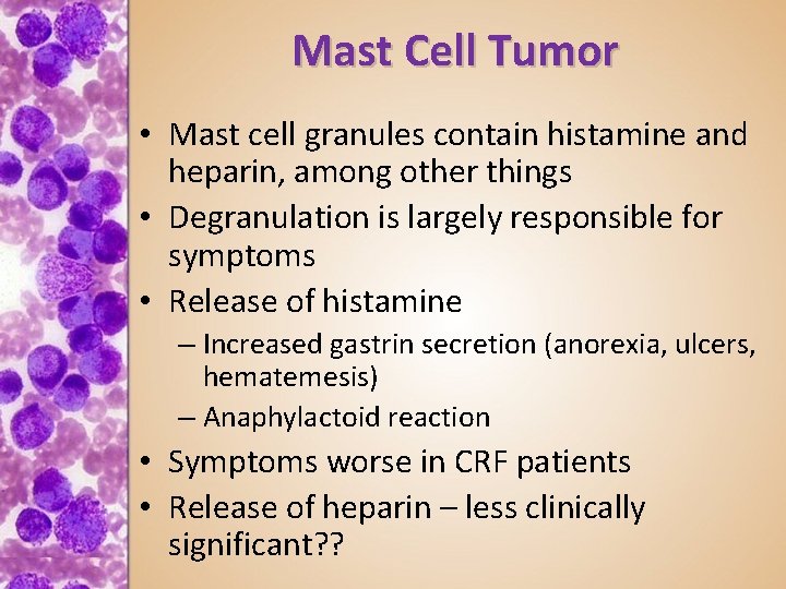 Mast Cell Tumor • Mast cell granules contain histamine and heparin, among other things