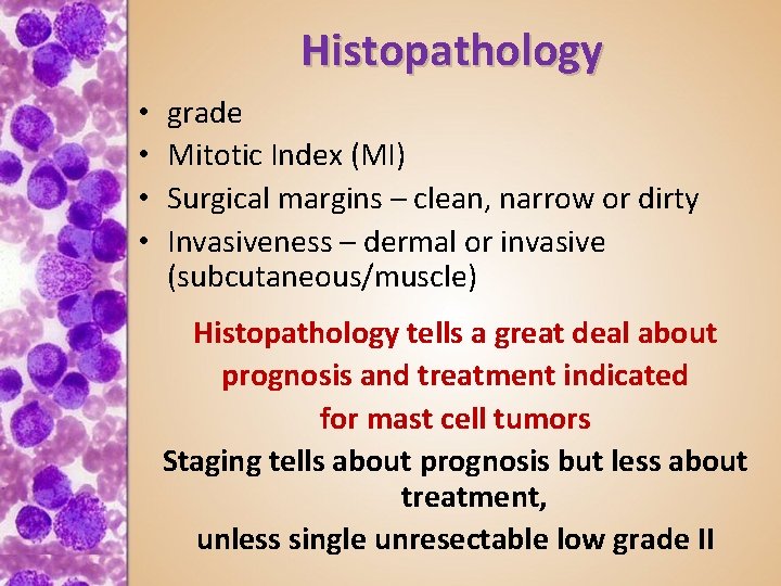 Histopathology • • grade Mitotic Index (MI) Surgical margins – clean, narrow or dirty