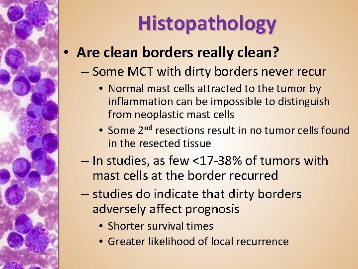 Histopathology • Are clean borders really clean? – Some MCT with dirty borders never