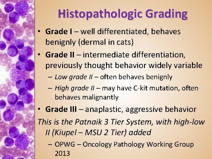 Histopathologic Grading • Grade I – well differentiated, behaves benignly (dermal in cats) •