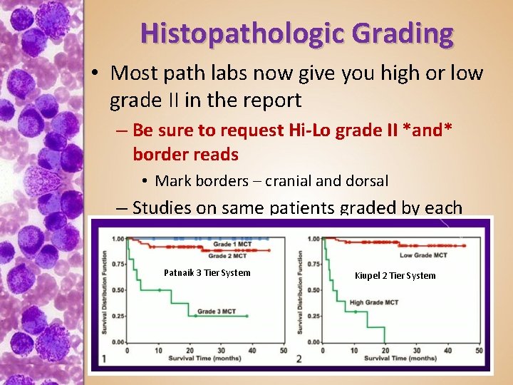 Histopathologic Grading • Most path labs now give you high or low grade II