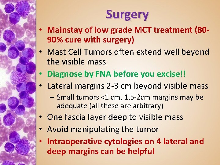 Surgery • Mainstay of low grade MCT treatment (8090% cure with surgery) • Mast