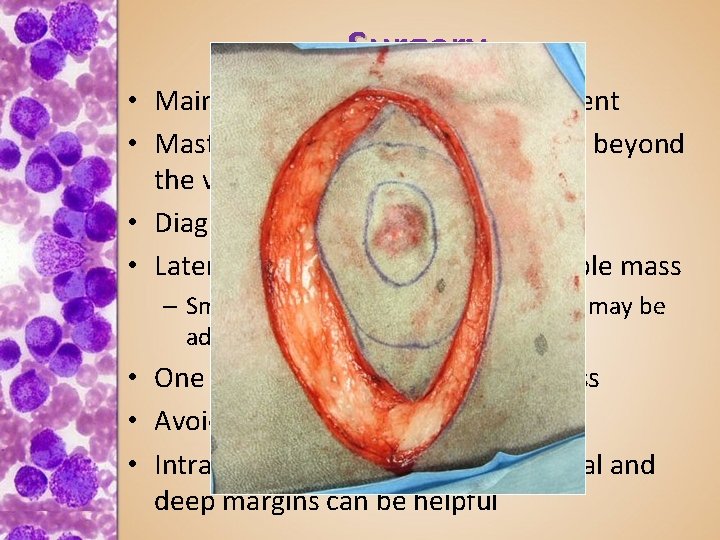 Surgery • Mainstay of low grade MCT treatment • Mast Cell Tumors often extend