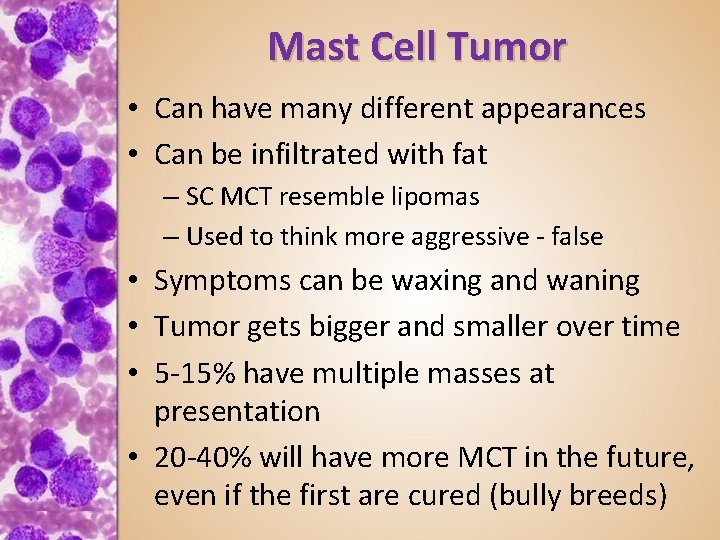Mast Cell Tumor • Can have many different appearances • Can be infiltrated with