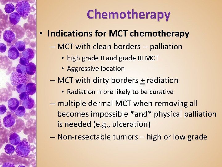 Chemotherapy • Indications for MCT chemotherapy – MCT with clean borders -- palliation •