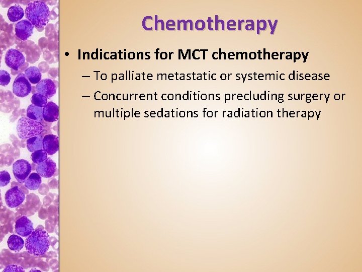 Chemotherapy • Indications for MCT chemotherapy – To palliate metastatic or systemic disease –