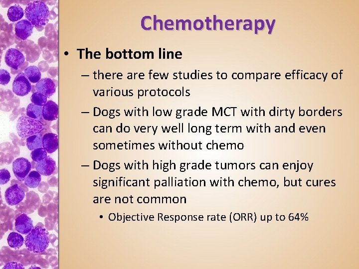 Chemotherapy • The bottom line – there are few studies to compare efficacy of
