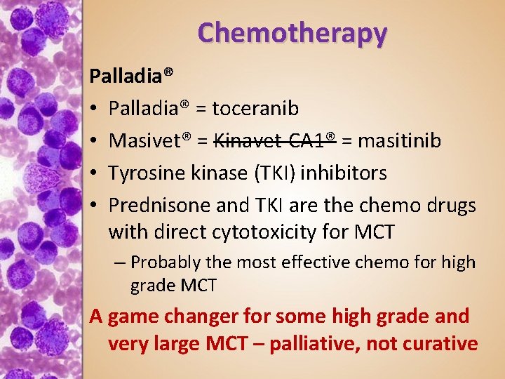 Chemotherapy Palladia® • Palladia® = toceranib • Masivet® = Kinavet-CA 1® = masitinib •