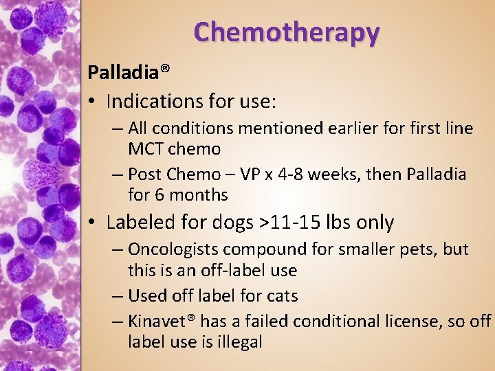 Chemotherapy Palladia® • Indications for use: – All conditions mentioned earlier for first line