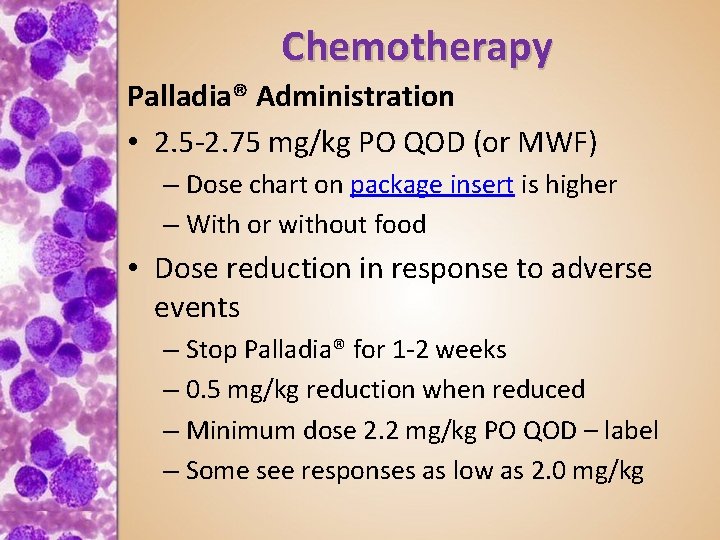 Chemotherapy Palladia® Administration • 2. 5 -2. 75 mg/kg PO QOD (or MWF) –