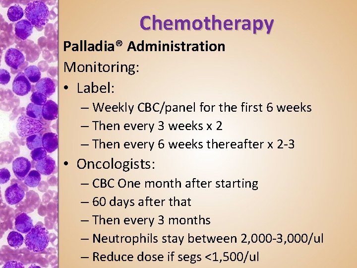 Chemotherapy Palladia® Administration Monitoring: • Label: – Weekly CBC/panel for the first 6 weeks