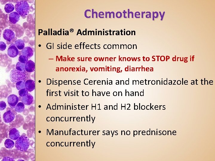 Chemotherapy Palladia® Administration • GI side effects common – Make sure owner knows to