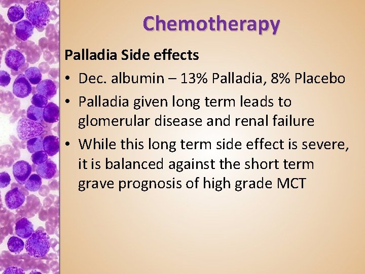 Chemotherapy Palladia Side effects • Dec. albumin – 13% Palladia, 8% Placebo • Palladia