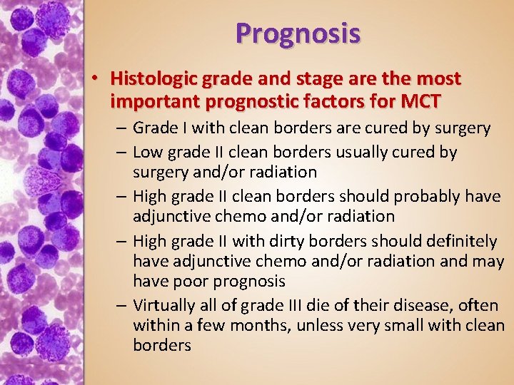 Prognosis • Histologic grade and stage are the most important prognostic factors for MCT