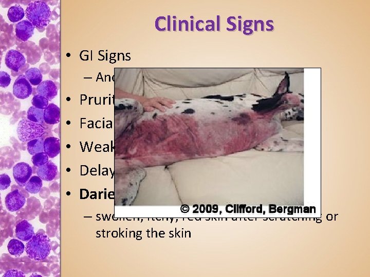 Clinical Signs • GI Signs – Anorexia, vomiting, melena • • • Pruritus and