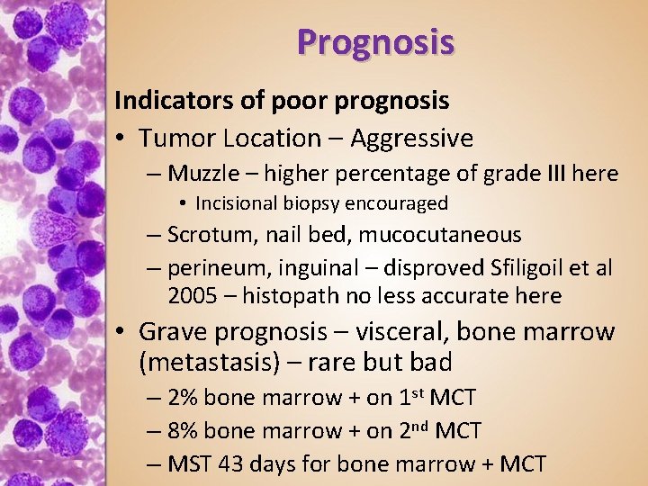 Prognosis Indicators of poor prognosis • Tumor Location – Aggressive – Muzzle – higher