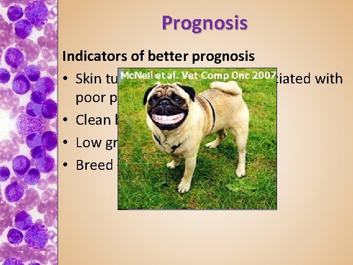 Prognosis Indicators of better prognosis • Skin tumor in location not associated with poor