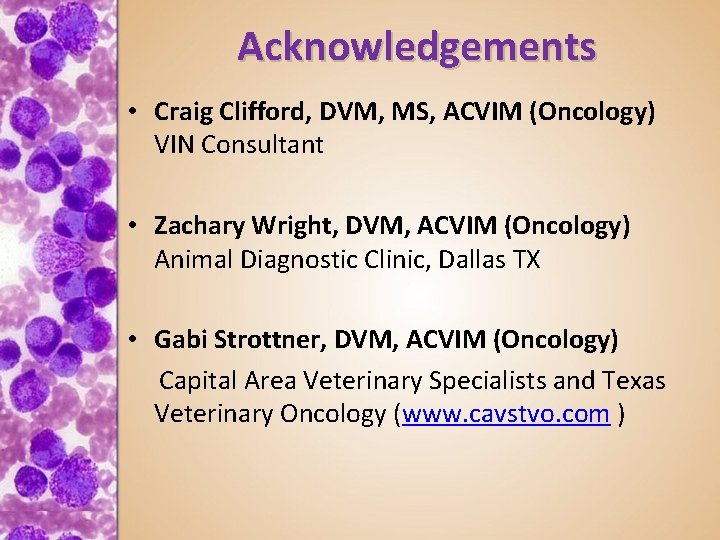 Acknowledgements • Craig Clifford, DVM, MS, ACVIM (Oncology) VIN Consultant • Zachary Wright, DVM,