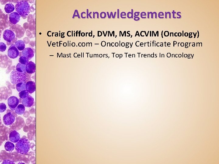 Acknowledgements • Craig Clifford, DVM, MS, ACVIM (Oncology) Vet. Folio. com – Oncology Certificate