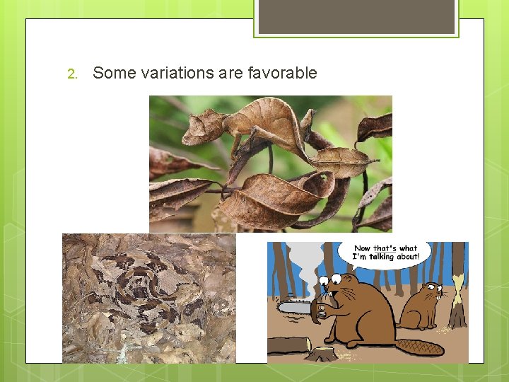 2. Some variations are favorable 