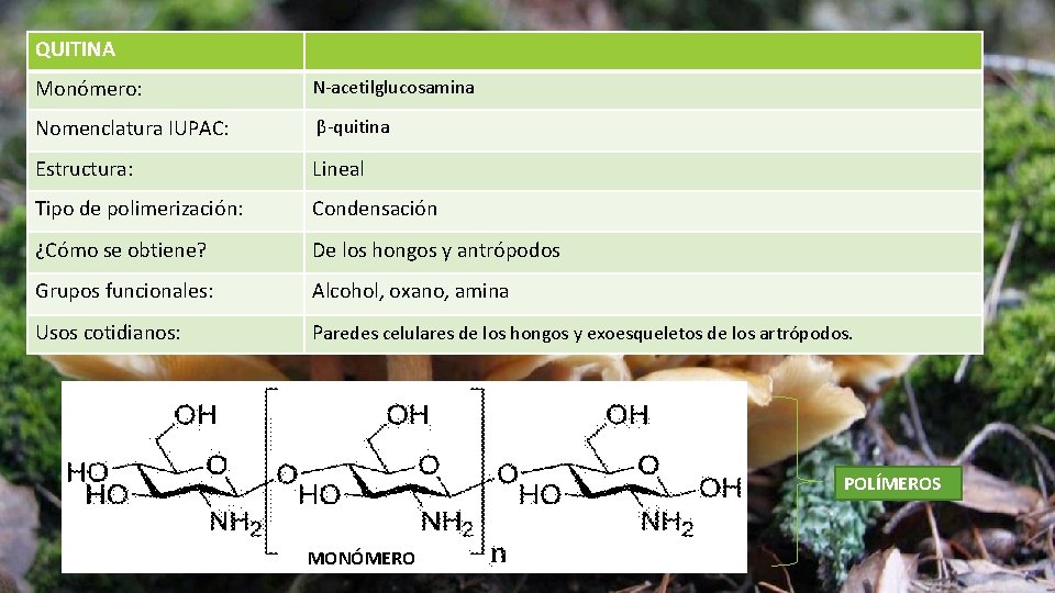 QUITINA Monómero: N-acetilglucosamina Nomenclatura IUPAC: β-quitina Estructura: Lineal Tipo de polimerización: Condensación ¿Cómo se