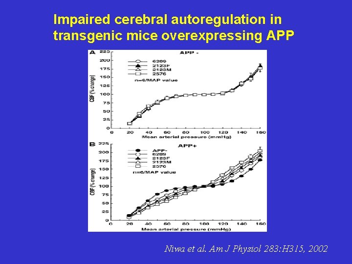 Impaired cerebral autoregulation in transgenic mice overexpressing APP Niwa et al. Am J Physiol