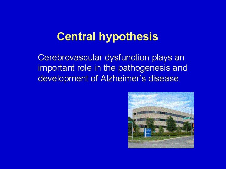 Central hypothesis Cerebrovascular dysfunction plays an important role in the pathogenesis and development of