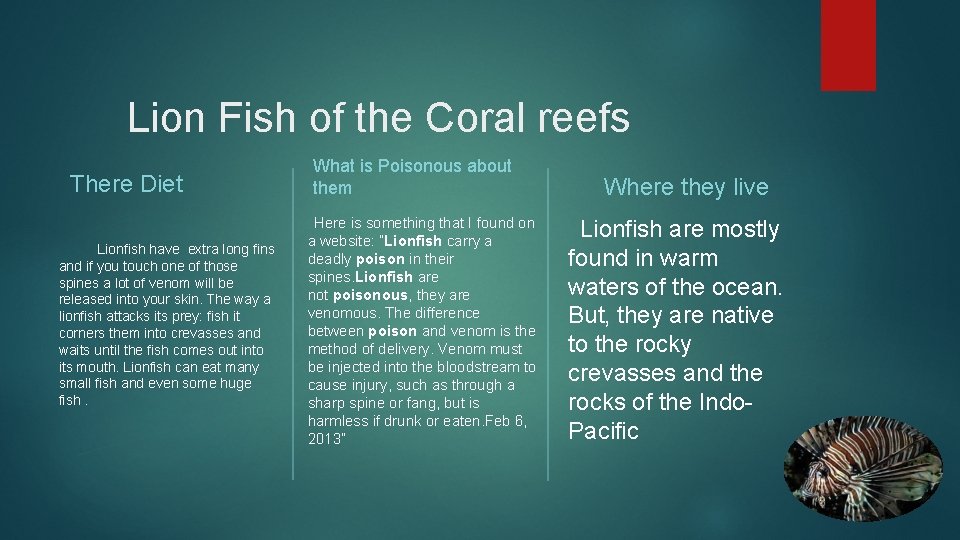 Lion Fish of the Coral reefs There Diet Lionfish have extra long fins and