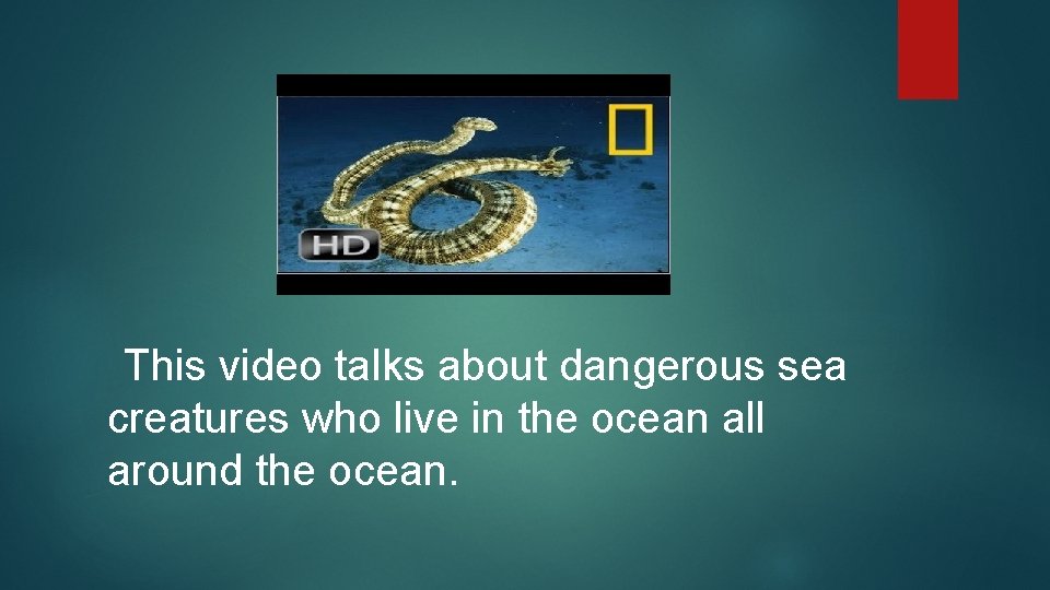 This video talks about dangerous sea creatures who live in the ocean all around